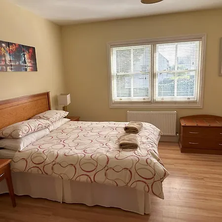 Dom wakacyjny Number 7 Bank House Schull